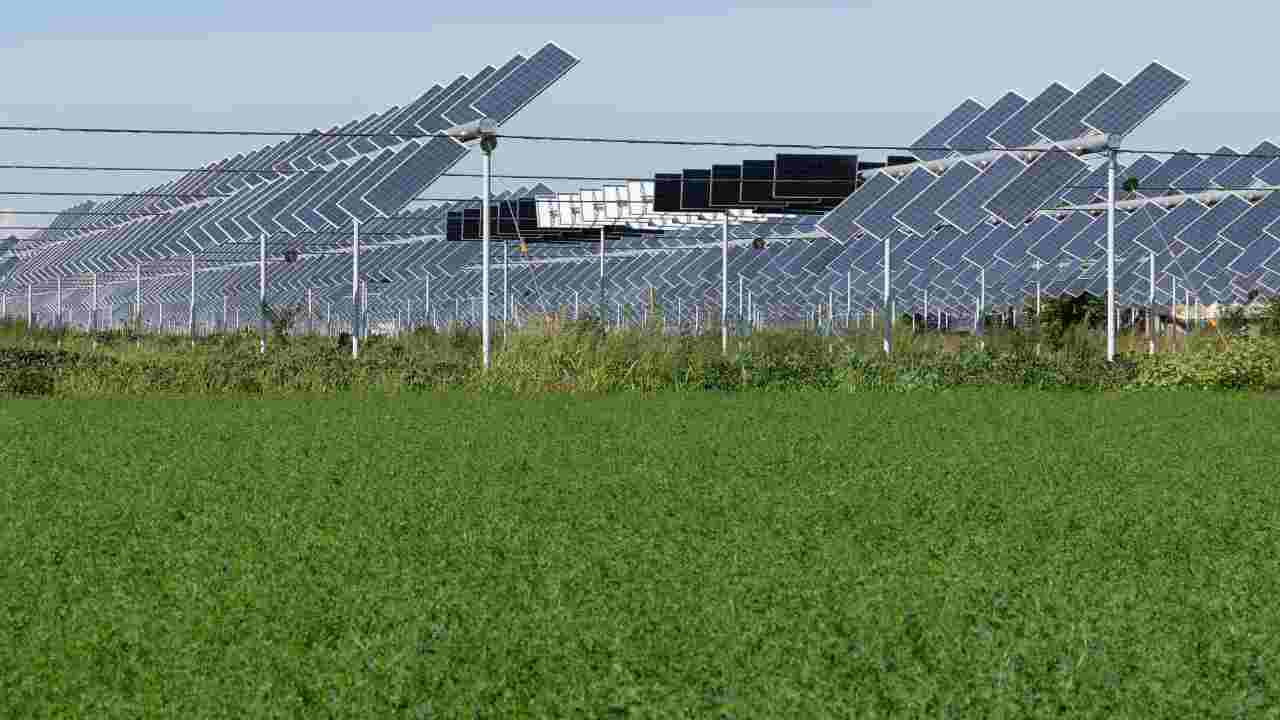 agrivoltaico in Sicilia