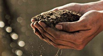 Come reagisce il terreno in base a quanto è stato esposto alla siccità