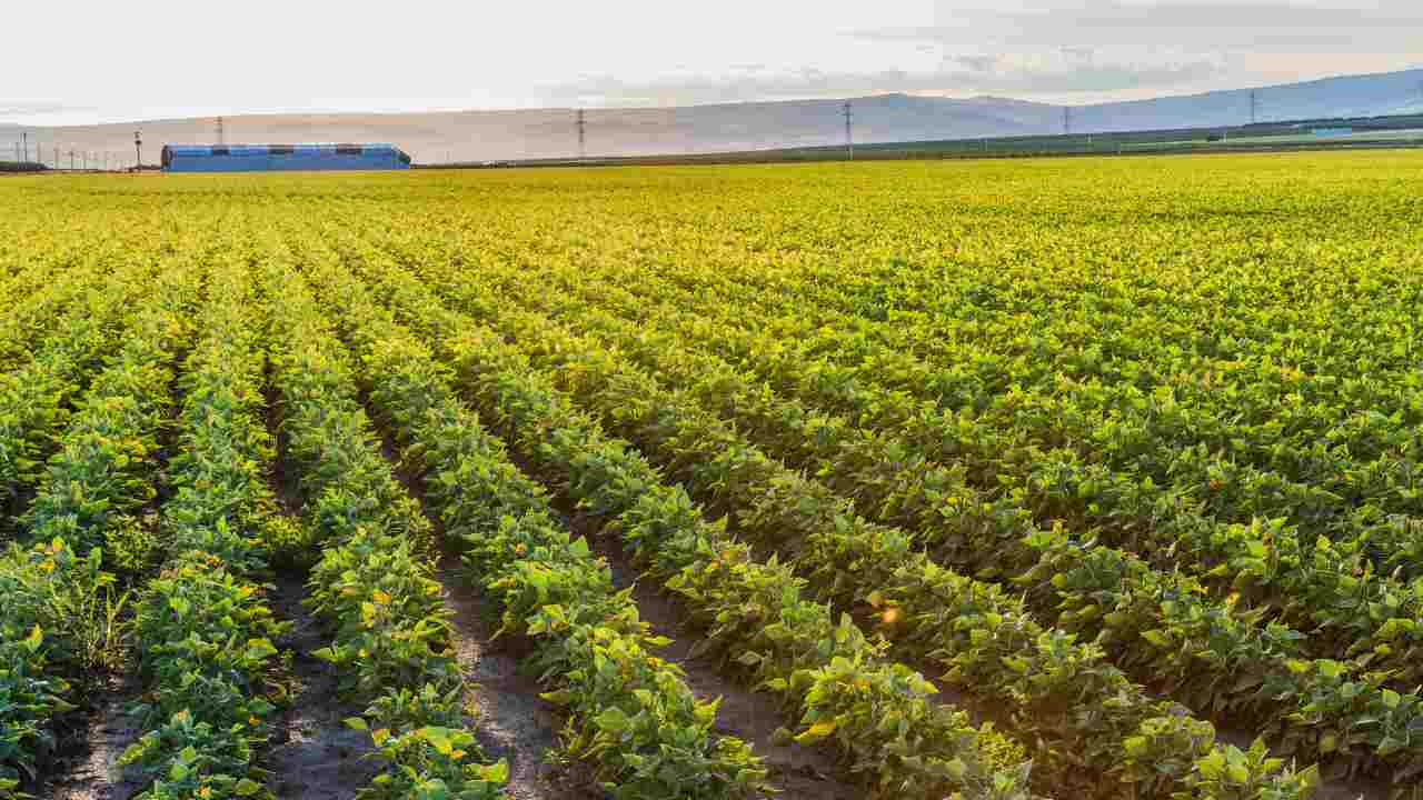 terreno agricolo residenza