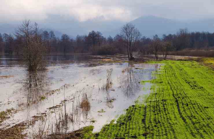 campi allagati conseguenze a lungo termine