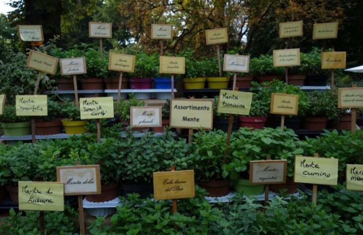 biodiversità in pericolo Italia