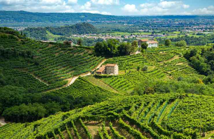 fiume deviato irrigare vigne prosecco