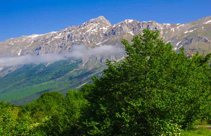 parchi naturali giornata europea