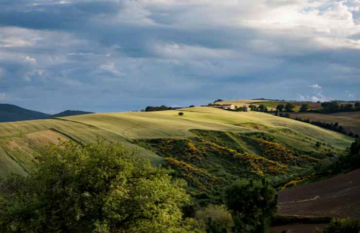 collina Marche progetto discarica