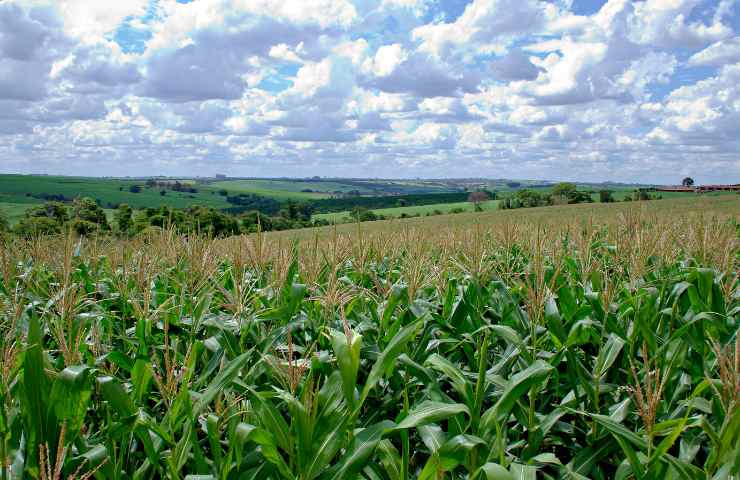 terreno agricolo residenza