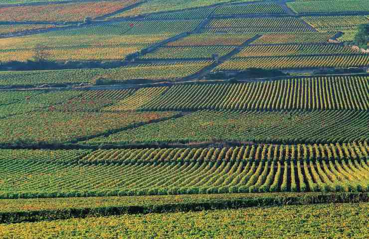 terreno agricolo residenza