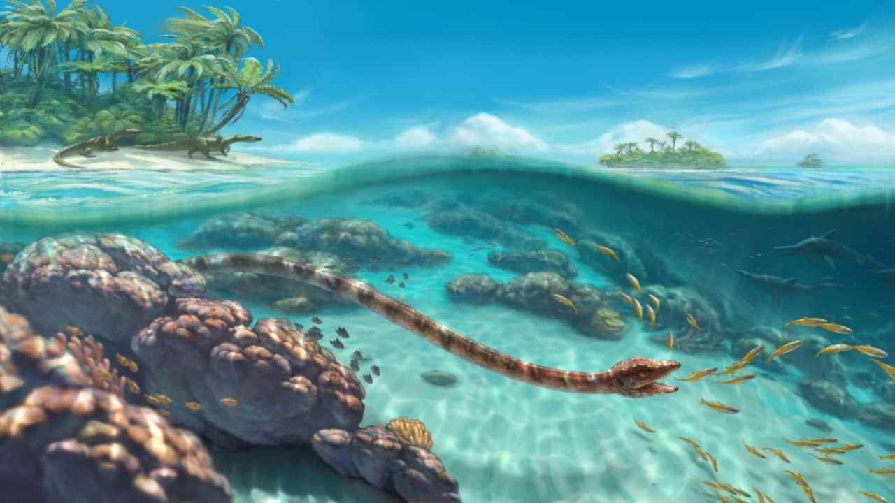 Cina scoperto rettile Triassico