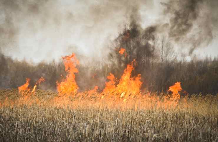 Buco ozono effetto incendi studio