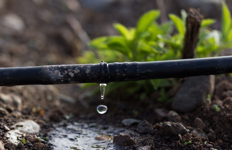 irrigazione a goccia risparmio acqua agricoltura 