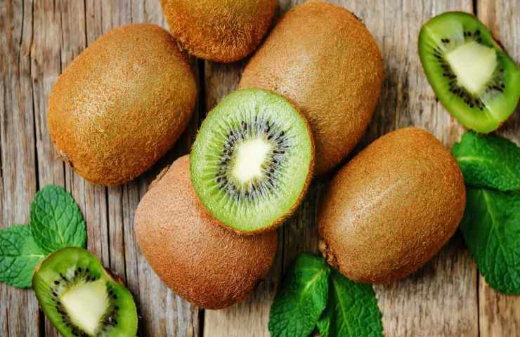 Kiwi quanto vive pianta guadagno frutti