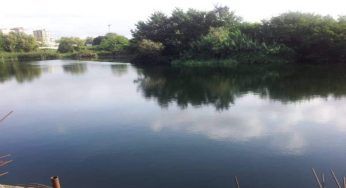 Lago ex Snia, nuove manifestazioni degli attivisti per tutelare l’area