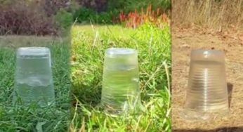 Inondazioni: l’esperimento che mostra perché la terra diventa “impermeabile”