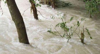 Emilia Romagna, maltempo: “Atti di sciacallaggio ai danni della popolazione”