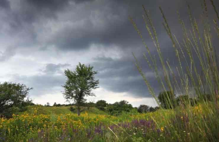 Emilia Romagna allerta meteo fiumi frane