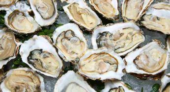 Ostriche, l’errore che potrebbe essere pericoloso quando si mangiano