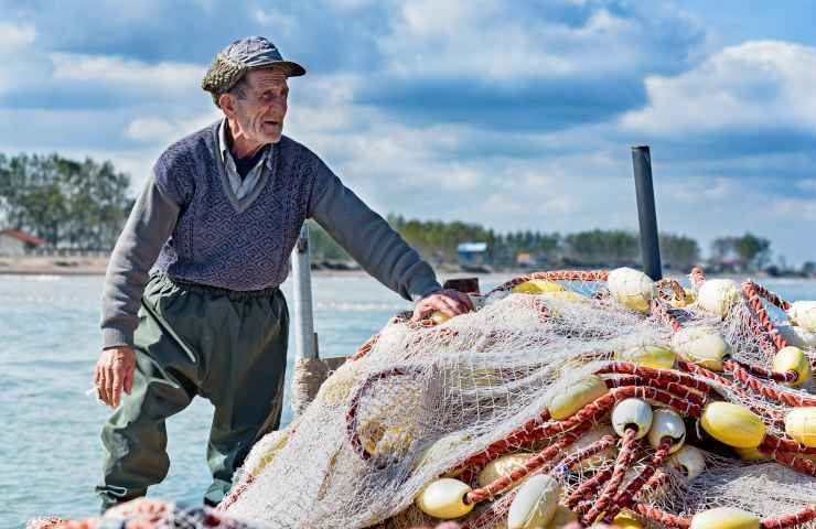 Ritrovamento resti pescatore pancia coccodrillo Australia