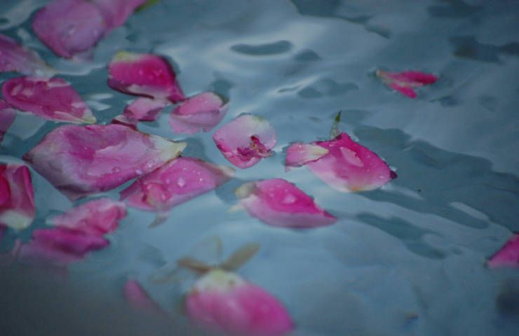 Benefici acqua rose come fare casa