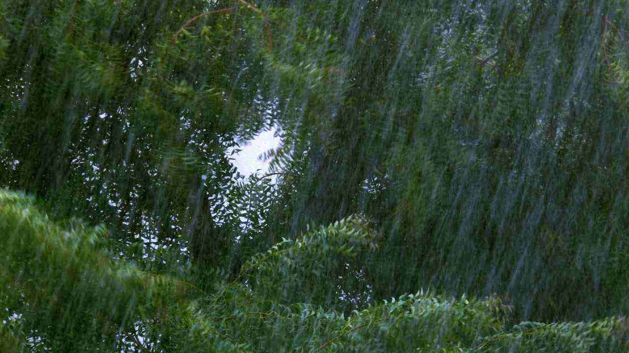 Senigallia allarme fiume Misa esondazioni