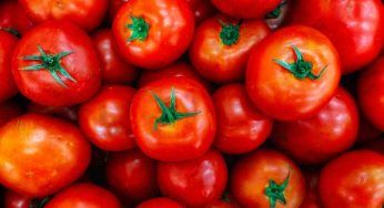 Pomodori Kero: caratteristiche e come utilizzarli in cucina
