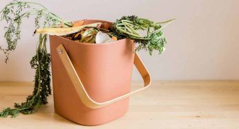 Pochi rifiuti: questa famiglia li getta una volta all’anno. Come è possibile