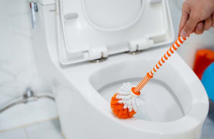 Scopino wc