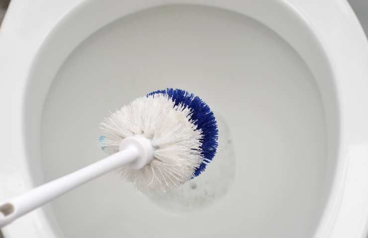 Scopino wc