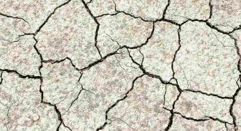 Giornate dell’Acqua, evento per discutere dell’importanza delle risorse idriche