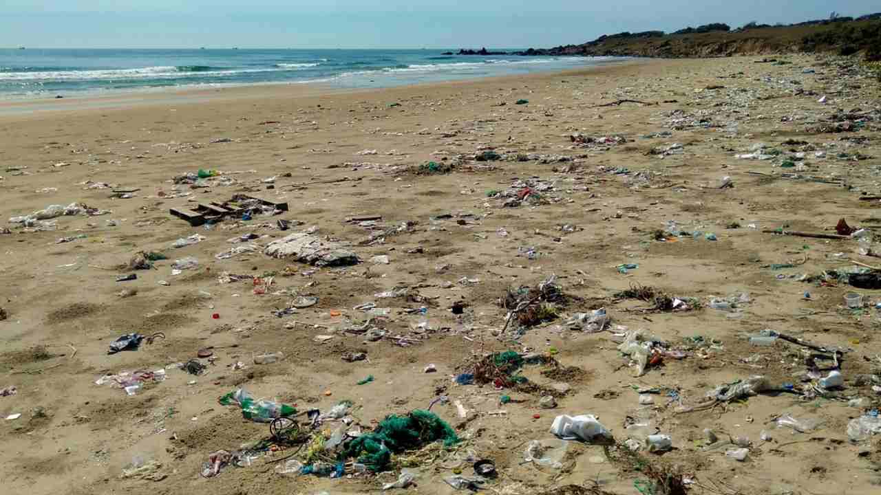 Spiaggia sporca 