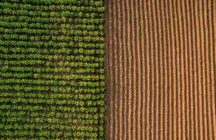 Terreno agricolo foto