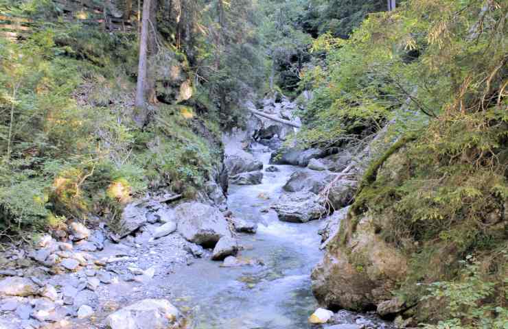 disastro val di stava