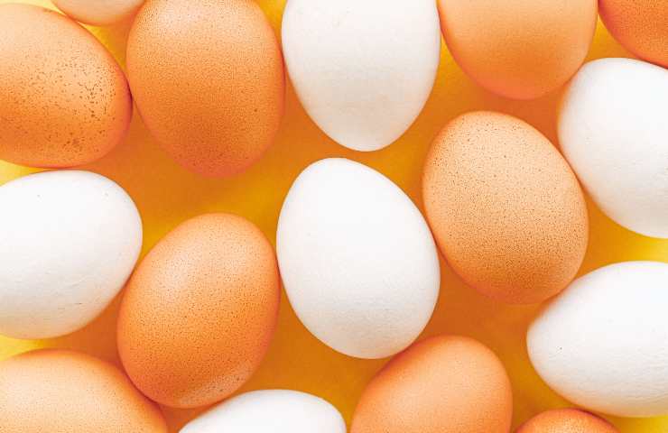 Uova, quante mangiarne alla settimana