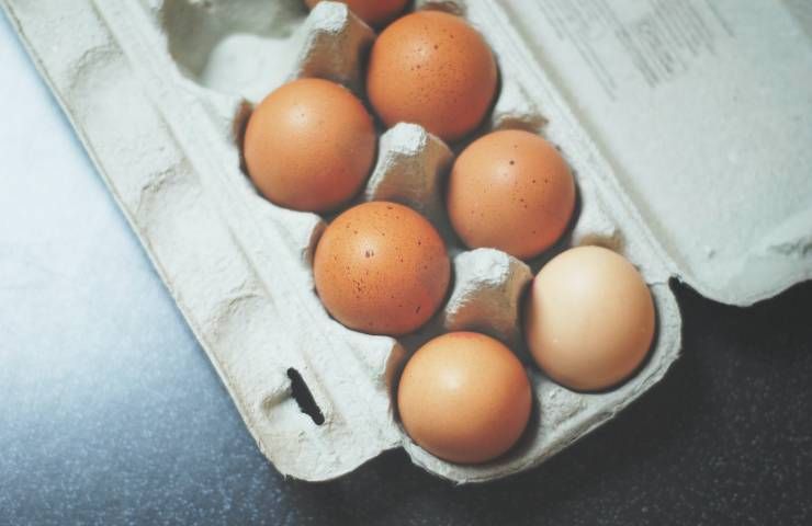 Confezione cartone uova conservare frigo