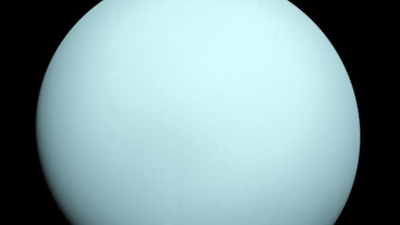 Urano lune oceano 