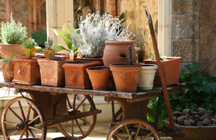 Pulizia vaso