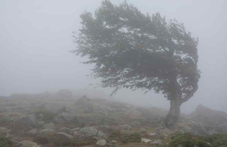 Maltempo Italia allerta meteo Protezione Civile