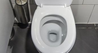 Tavoletta Wc gialla, non spendere soldi: tornerà come nuova