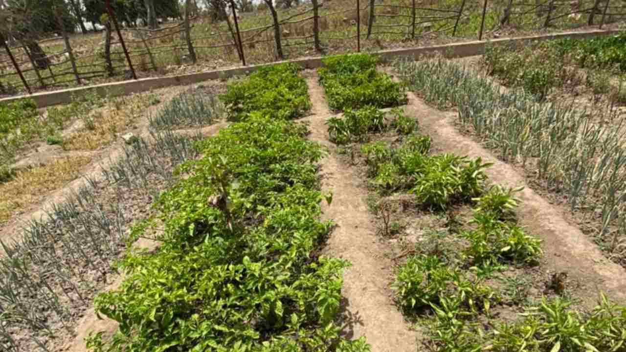 Women Keepers of Agricultural Biodiversity Seed: in cosa consiste