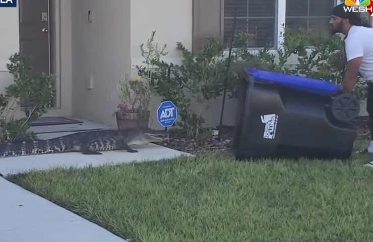 DIY alligator trap in Florida