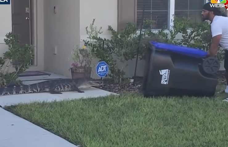 trappola per alligatore fai da te in florida