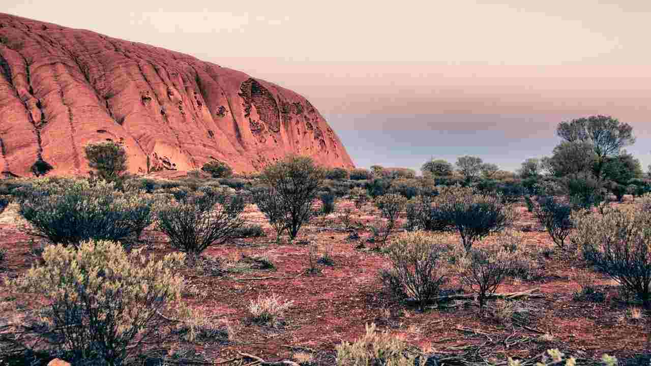 donna si perde in australia e beve vino per sopravvivere