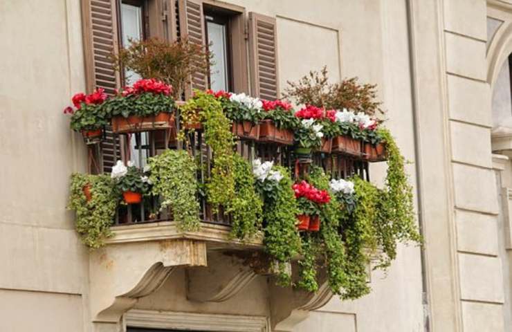 iniziativa balconi fioriti comune santa croce camerina