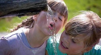 Bambini e pidocchi: come capire se sono presenti