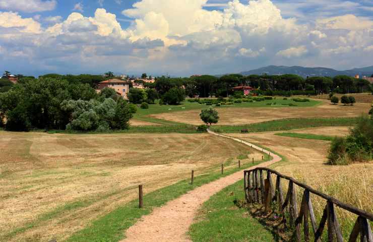 allarme llupi attaccati i lipizzani di montelibretti