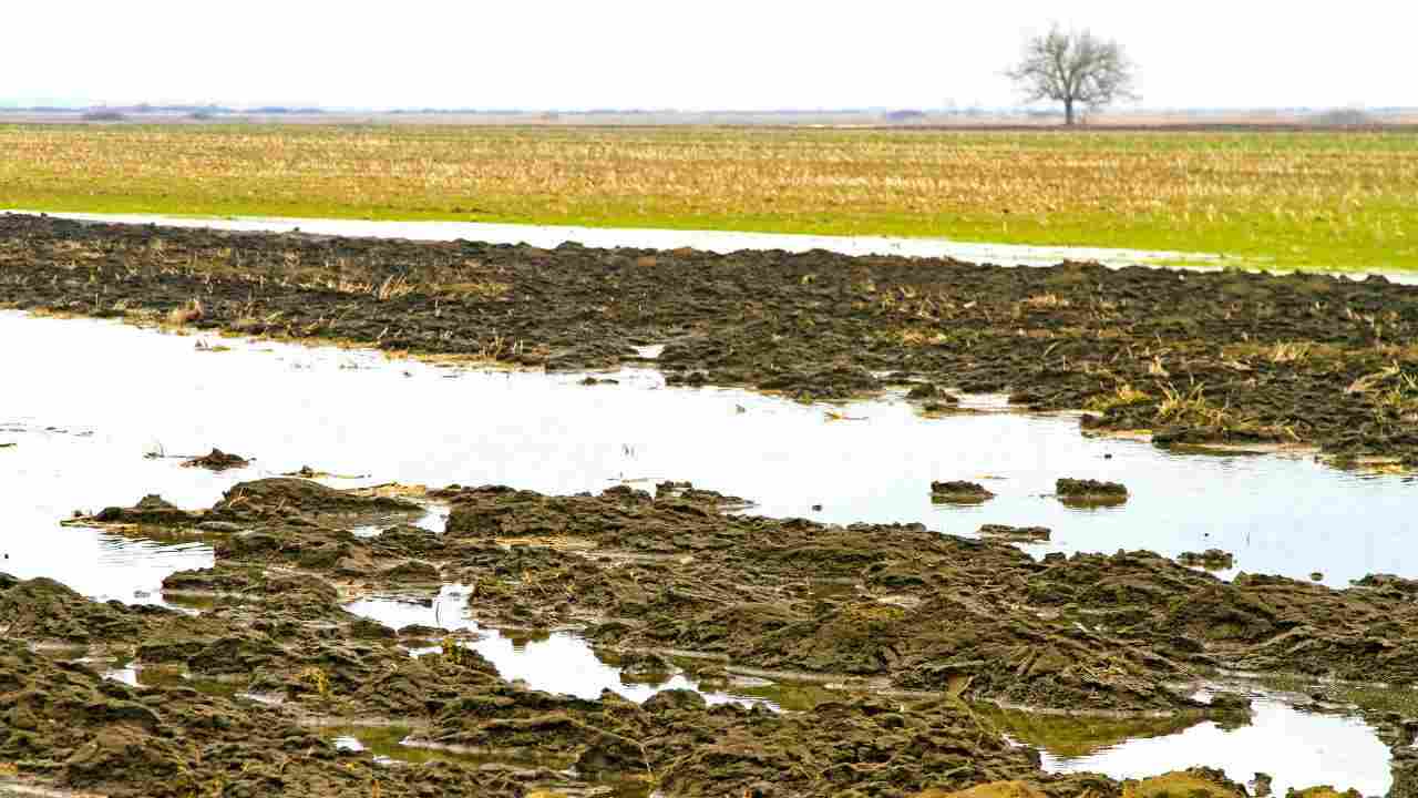 richieste cassa integrazione alluvione