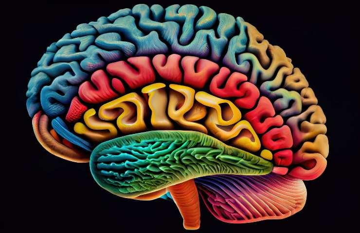 cervello invia stimoli emotivi