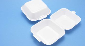 Polistirolo, occhio alla multa: non buttarlo mai nel cassonetto sbagliato