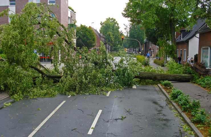 diavolo polvere tragedia 