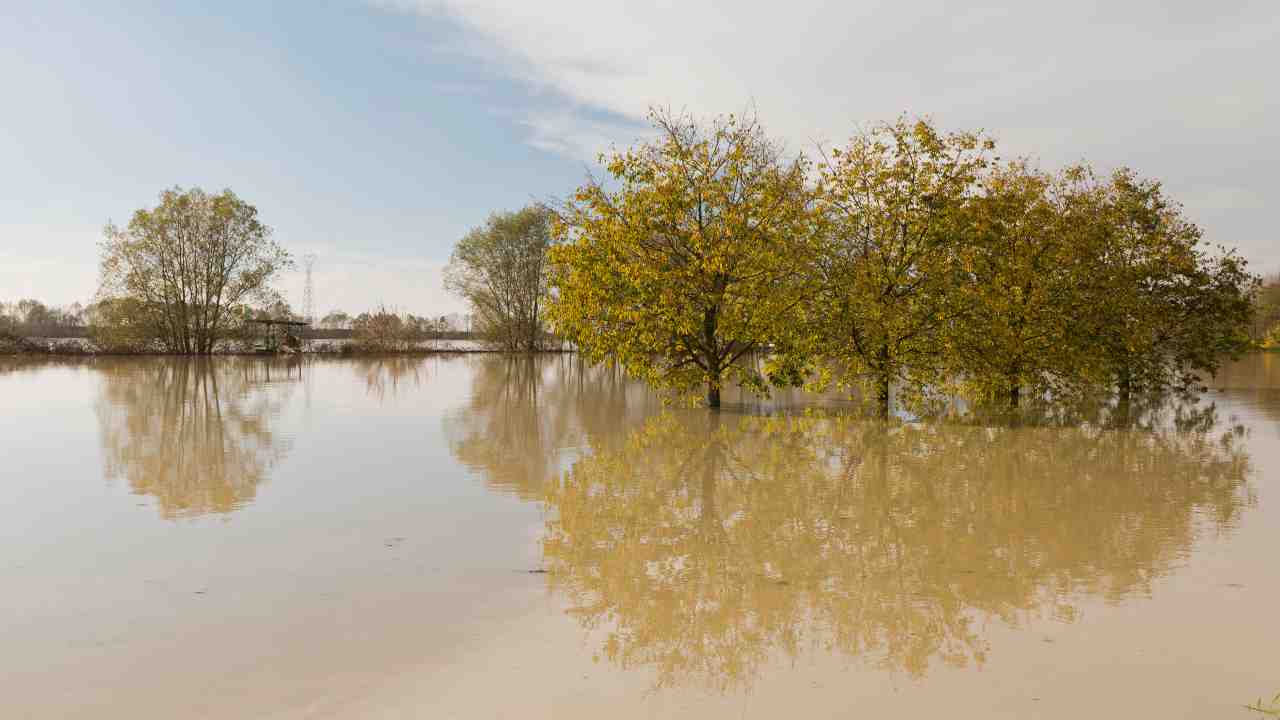 esondazione alluvione Emilia Romagna