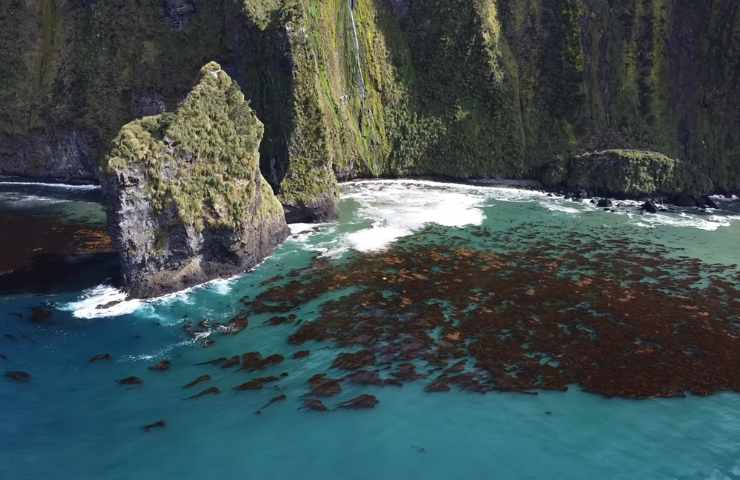 gough island dove si trova