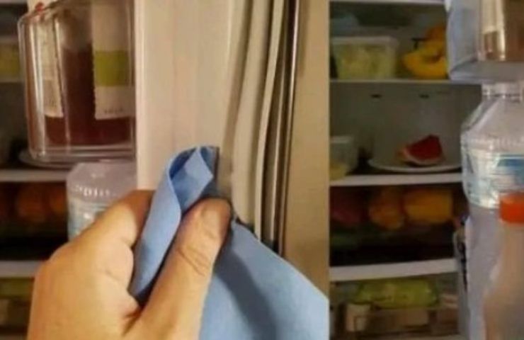 frigo senza batteri 